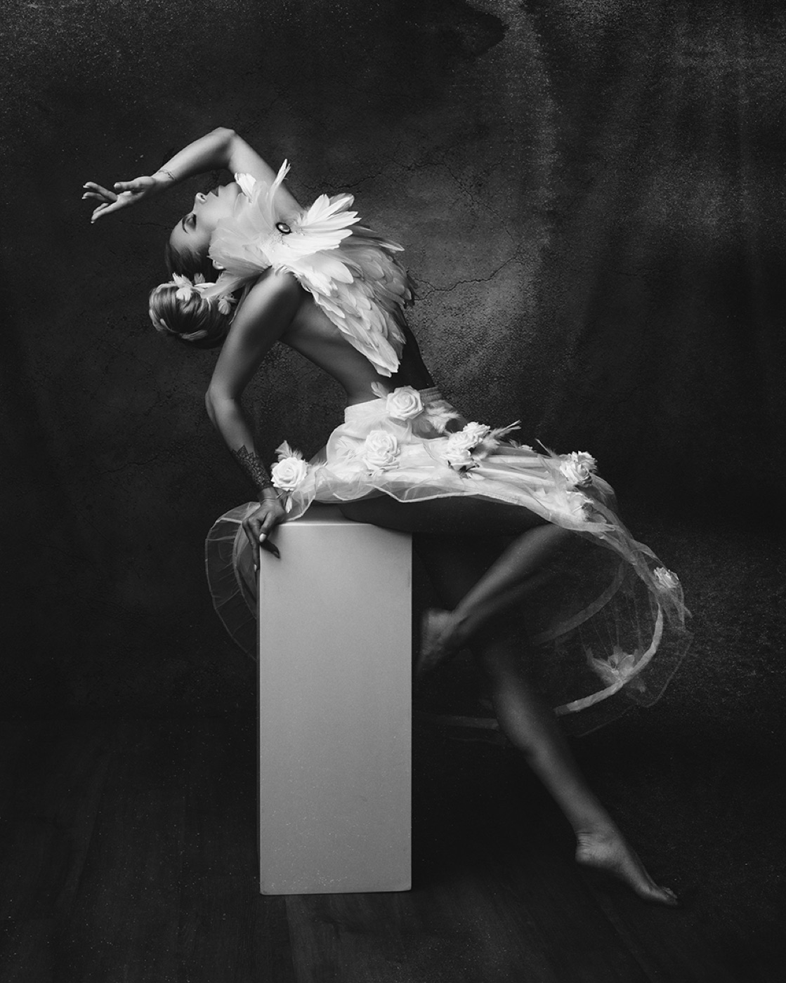Photo d’art Black Swann 72 par Isabelle Jaravel